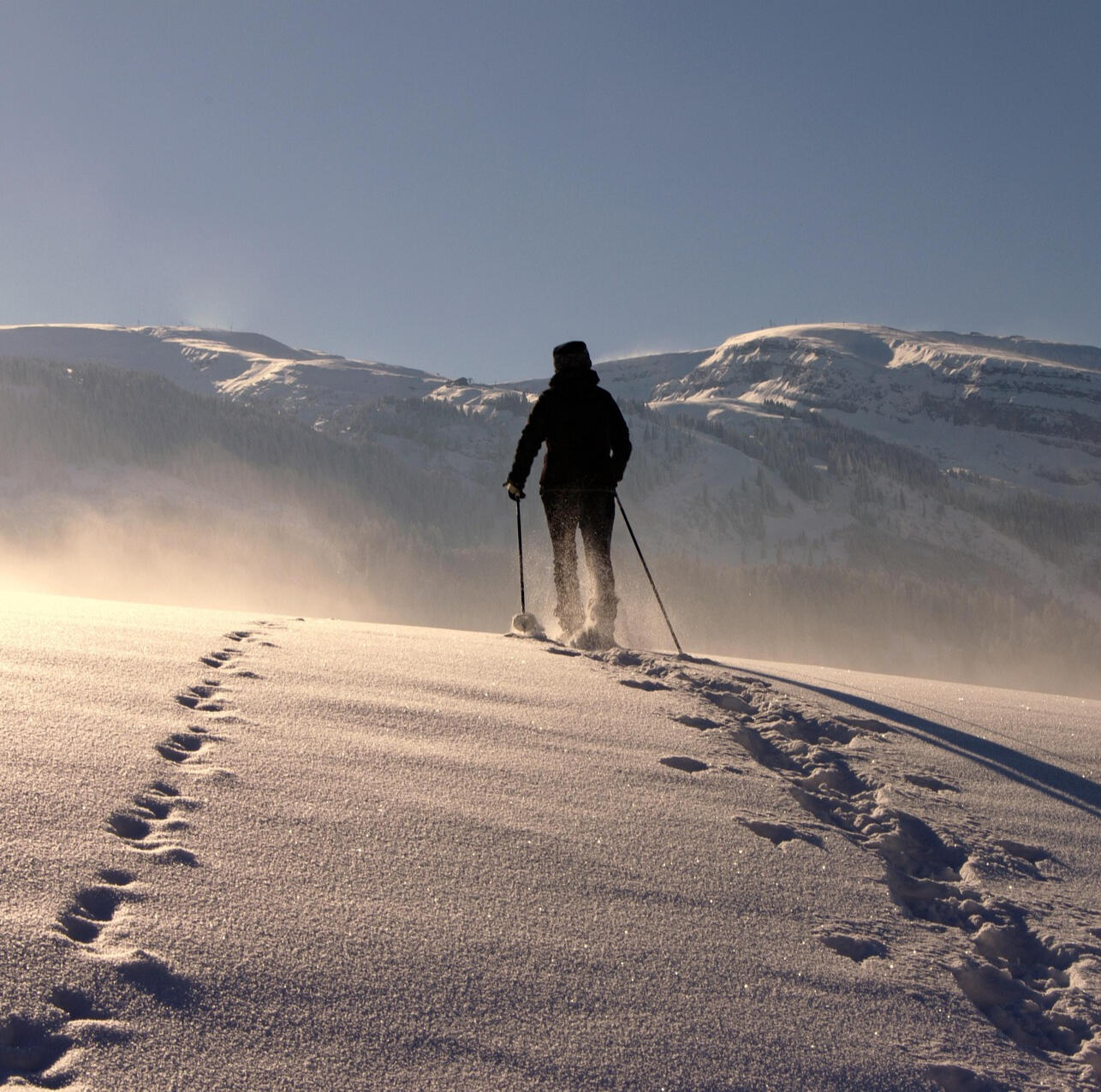Ahron Ahron On A Mountain