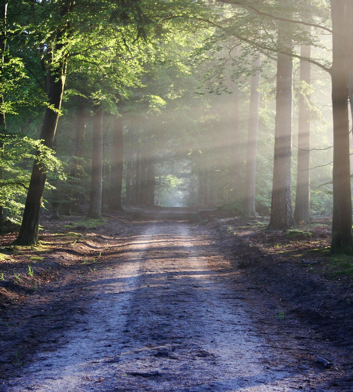 Ahron Ahron On A Mountain